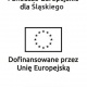 FESLmonopionbr2.jpg